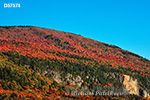 Fall colours, Cap Tourmente, Quebec, Canada